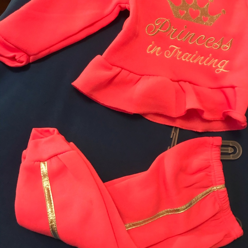 Size 2T Princess In Training Sweat Set - Picture 4 of 5